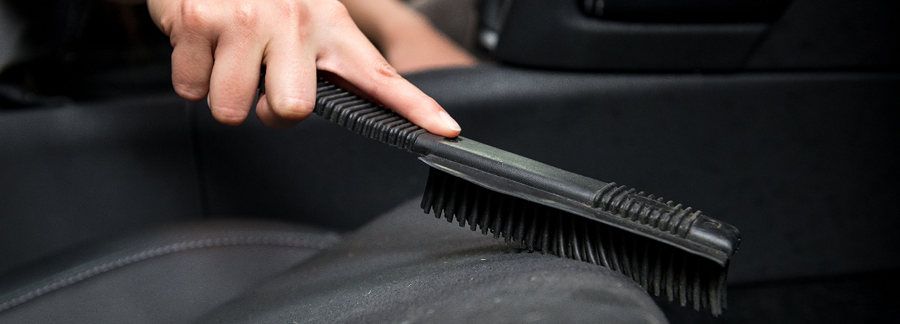Best way to Remove Pet Hair From Car Seats