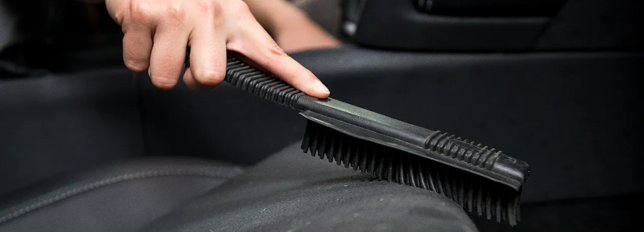 Best way to Remove Pet Hair From Car Seats