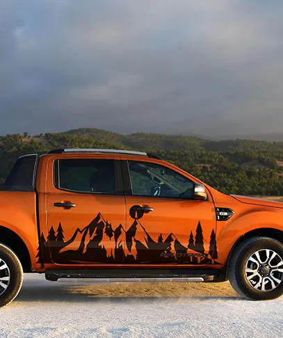 Vehicle sticker removal service